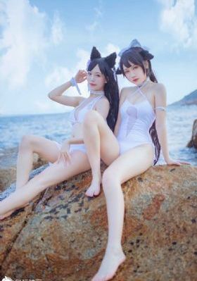 大地资源网高清免费观看